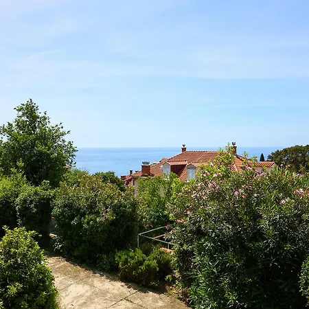 Evergreen Escape * Dubrovnik